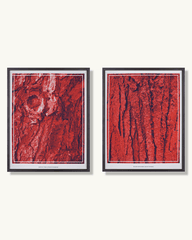 Arboretum Print Set