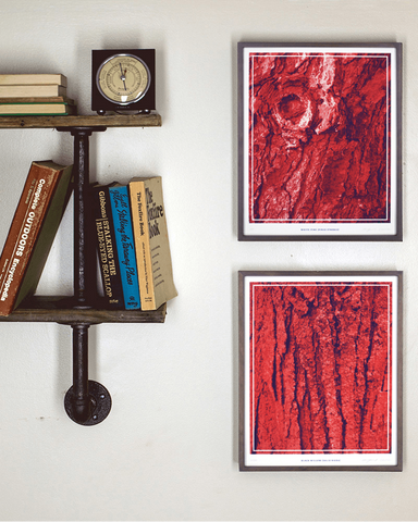 Arboretum Print Set