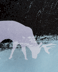 Woodland Ghosts Screen Print