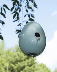 Egg Bird House Light Aqua