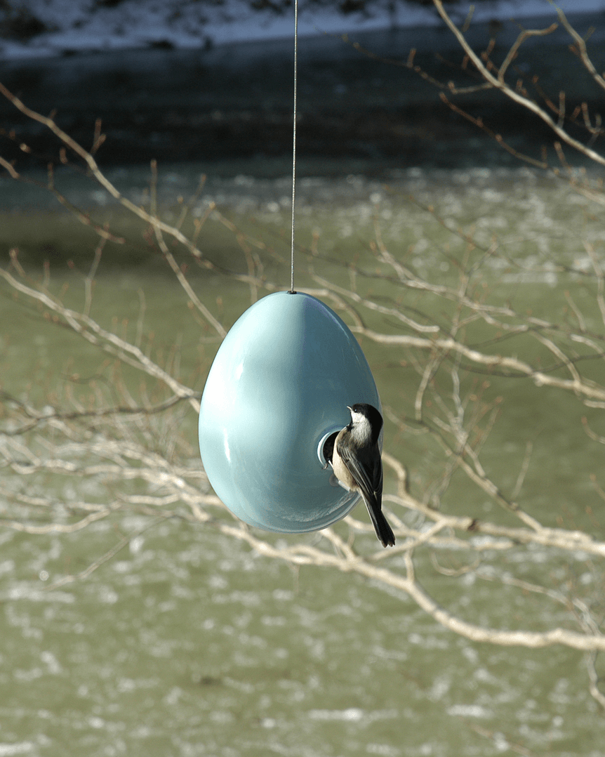 Egg Bird House Light Aqua