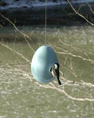 Egg Bird House Light Aqua