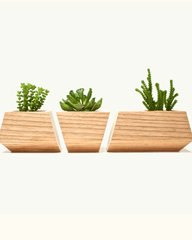 Boxcar Planter Set Ash & Bone White
