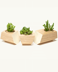 Boxcar Planter Set Ash & Bone White
