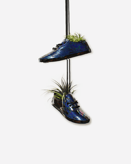 Medium Shoe Pot Oil Slick