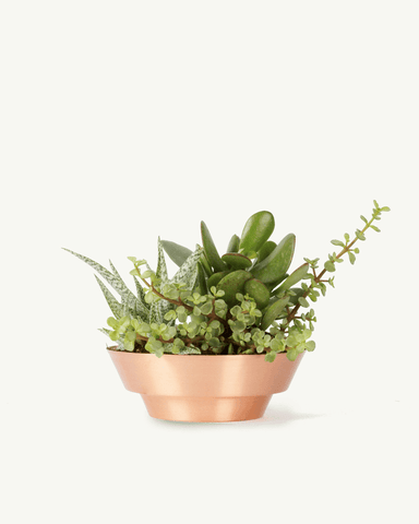 Spun Bowl Pure Copper